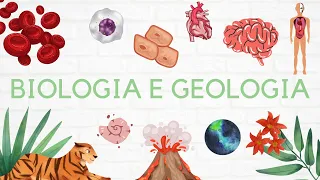 #19 Biologia 11º ano: Replicação do DNA 🧬