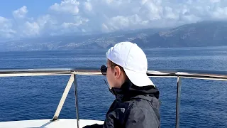 Wild Dolphins Watching Boat Tour Madeira