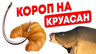 ШАЛЕНА рибалка! Ловлю коропа ЗДОРОВЕННОГО на ПАСТУ і КРУАСАН!