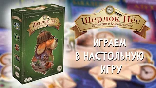 Шерлок пёс - Играем в настольный детектив