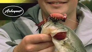 How To Fish The Hula Popper 2.0