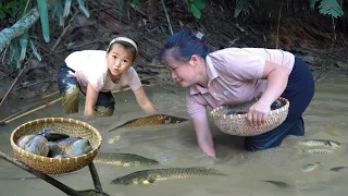 The process of Harvesting carp in the field and cooking with my daughter was fun- Work farm new