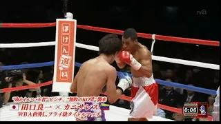 Ryoichi Taguchi  vs  Carlos Canizales  2016-12-31