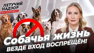 Собачья жизнь - везде вход воспрещён! | Лига справедливости | Елена Летучая