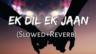 Ek dil ek jaan// slowed+reverb// use headphone🎧❤️// #lofi #lofimusic #video