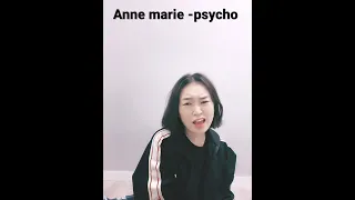 Anne marie -psycho (cover)