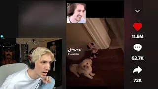 xQc Finds a TikTok of Him With 11,000,000 Likes