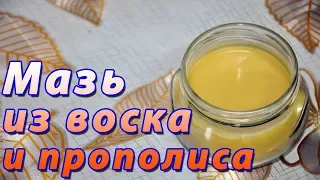 Мазь на основе воска и прополиса. Прополисная мазь. Пчелиная мазь