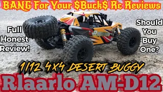 Full review and test- Rlaarlo's AM-D12 and Final Thoughts?