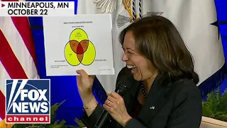 'BIZARRE': Kamala Harris mocked for Venn diagram stories