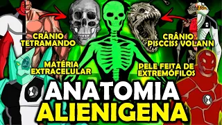 TUDO SOBRE ANATOMIA ALIENIGENA EM BEN 10!!!