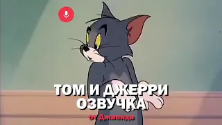 ТОМ И ДЖЕРРИ ОЗВУЧКА ОТ ДЖАВИДА