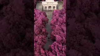 Temples in Putuo Mountain in China