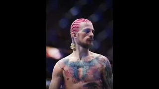 Sean O'Malley Edit || Suga Suga - Baby Bash #UFC299