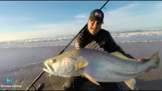 FISHING for Cob/Mulloway with LURES from the beach. BIG fish.