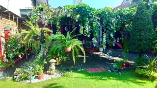 JAPANESE FILIPINO HOUSE GARDEN/CLEAN AND COZY/BLOOMING FLOWERS