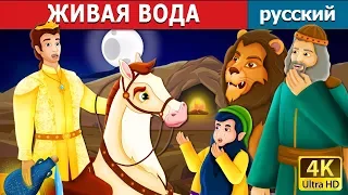 ЖИВАЯ ВОДА | The Water of Life Story in Russian | русский сказки