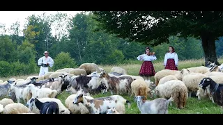 Luiza Spiridon & Diana Stan - Blândul Păstor