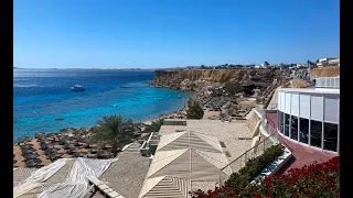 Reef Oasis Beach Resort 5*. Видеообзор отеля в Шарме с отличным пляжем и рифом в безветренной бухте