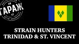 Strain Hunters Trinidad & st  Vincent expedition Русская авторская озвучка Гараж