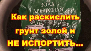 Как раскислить грунт золой и не испортить