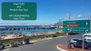 Cape Point and Penguin Day Tour-with City Sightseeing - Cape Town
