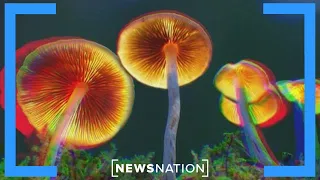 Can psychedelic drugs help with mental health issues? | NewsNation Live