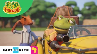 Toad & Friends | Perfect Picnic | Cartoonito Africa