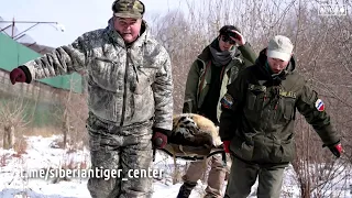 Из Приморья в Ленинградскую область на ПМЖ