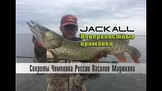 Лучшие воблеры для рыбалки на щуку. Поверхностные приманки Jackall. Рыбалка с Василием Мадюкиным.