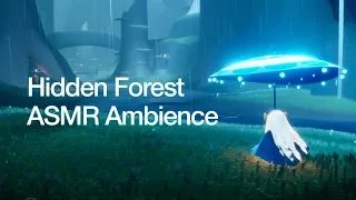 'Hidden Forest' ASMR Ambience / Sky: Children of the Light