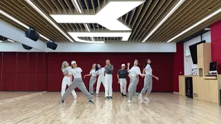 TWICE - Feel Special OT9 Dance Practice Mirror