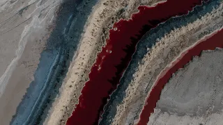 CGTN Nature: Yellow River Series | Episode 1: Salt Lake Ecology