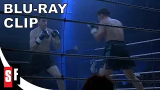 The Boxer (1997) - Clip: The Celtic Tiger (HD)