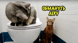 ХИТРЫЙ ПЛАН ЗВЕРОДЕТОК