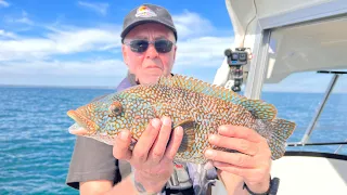 QUICK SESSION ON A REEF LURE FISHING (UK BOAT FISHING) #boating #lurefishing #fishing