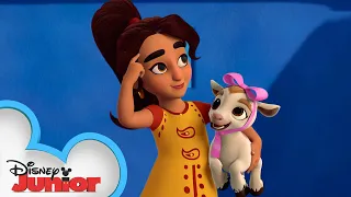 Where is the Missing Goat? | Mira, Royal Detective | Disney Junior