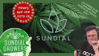 SUNDIAL GROWERS INC / QUE ES SNDL / SUNDIAL A 13$? / QUE ESPERAR DE SUNDIAL / ANALISIS TECNICO 📶