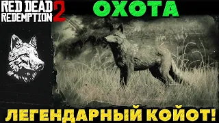 Red Dead Redepmption 2 - Охота Легендарный Койот.