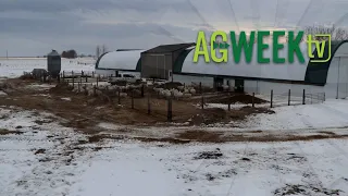 Minnesota family farm adds sheep business