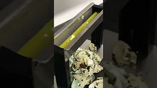 Как работает машинка для очистки перепелиных яиц?