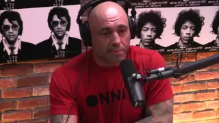 Joe Rogan & Louis Theroux on Hillary Clinton's Health Issues and Traumatic Brain Injury