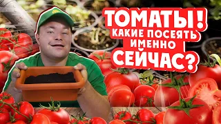 #ТОМАТЫ! КАКИЕ #ПОСЕЯТЬ ИМЕННО СЕЙЧАС? #Посев #томатов