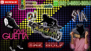 David Guetta - She Wolf (Falling To Pieces) ft. Sia (REGGAE REMIX) [DJ KCASSIANO]