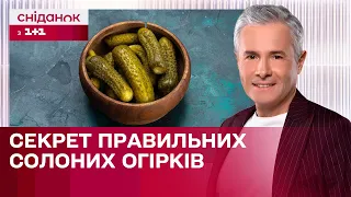 Правильні солоні огірки: секрет приготування та якості | Знаю – споживаю