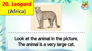80 Animals | Unit 20 - Africa | Leopard