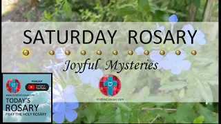 Saturday Rosary • Joyful Mysteries of the Rosary 💙 Light Blue Flowers in the Wind (w/ Podcast Audio)