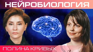 Как прокачать мозг? Полина Кривых