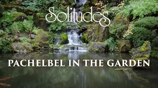 Dan Gibson’s Solitudes - Pastoral | Pachelbel in the Garden