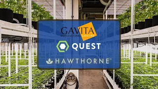 Gavita, Quest and Energy Rebates